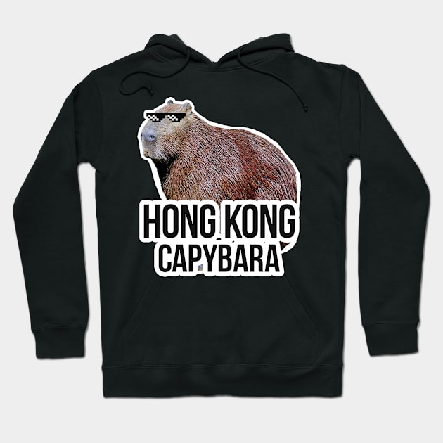 Hong Kong capybara meme Hoodie by NeedsFulfilled